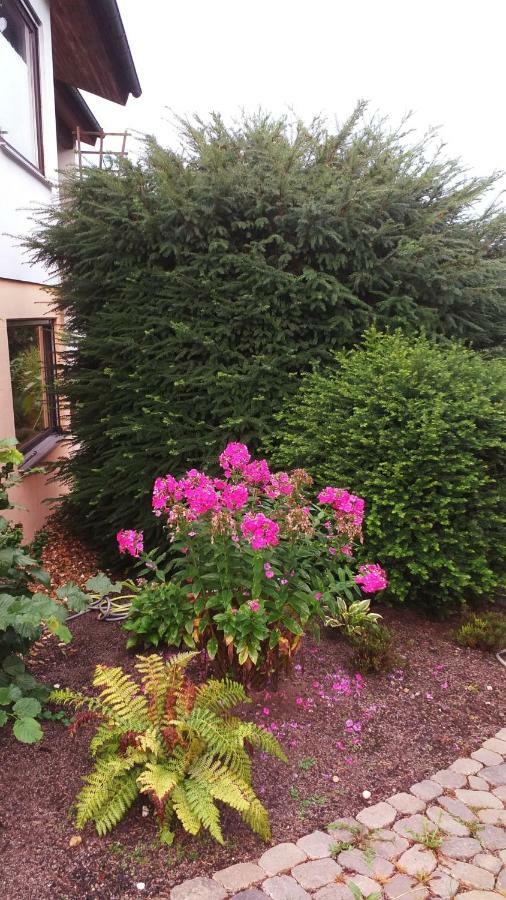 Apartment Im Rottal Oberrot
